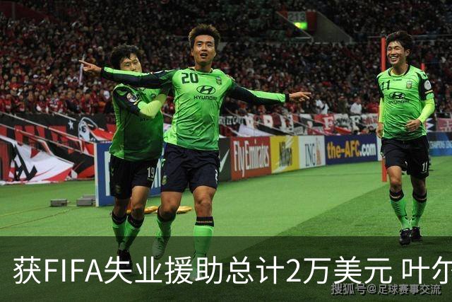 获FIFA失业援助总计2万美元 叶尔杰提成中国球员第一人